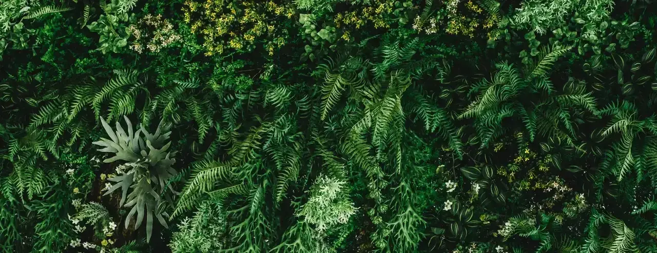 Dense vertical garden of ferns and greenery with tiny blossoms
